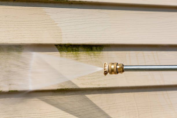 Best Roof Power Washing Services  in Point Roberts, WA